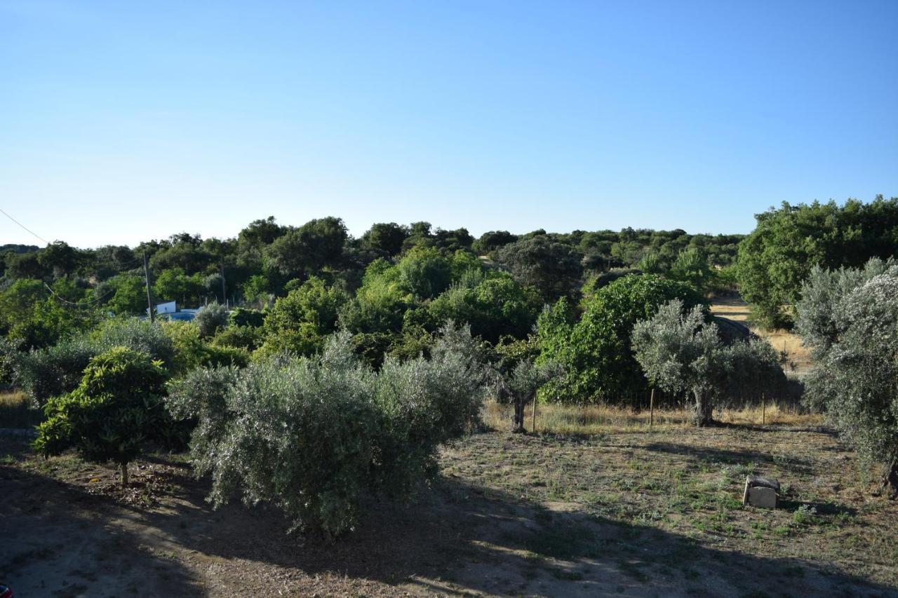 Apartment Memsoares Castelo de Vide